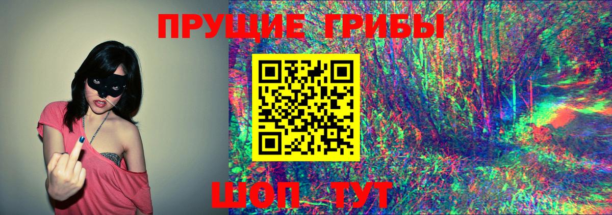 Галлюциногенные грибы мухоморы  Псилоцибиновые грибы Psilocybine cubensis  Шадринск  Вход с VPN 